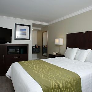 Zimmer mit Queensize-Bett